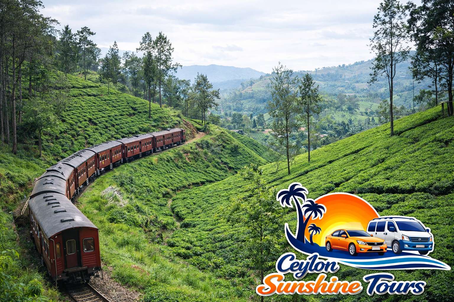 Tea plantation and factory experience in Kandy