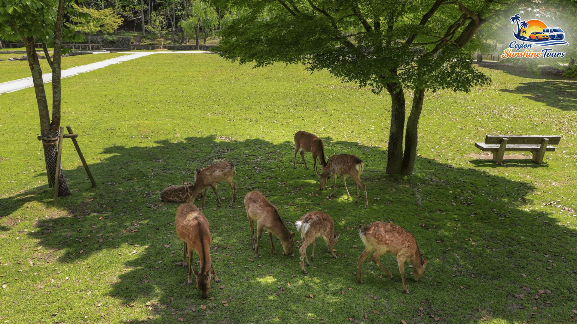 Natural hot springs in Trincomalee